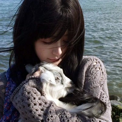 涩谷作家 海报